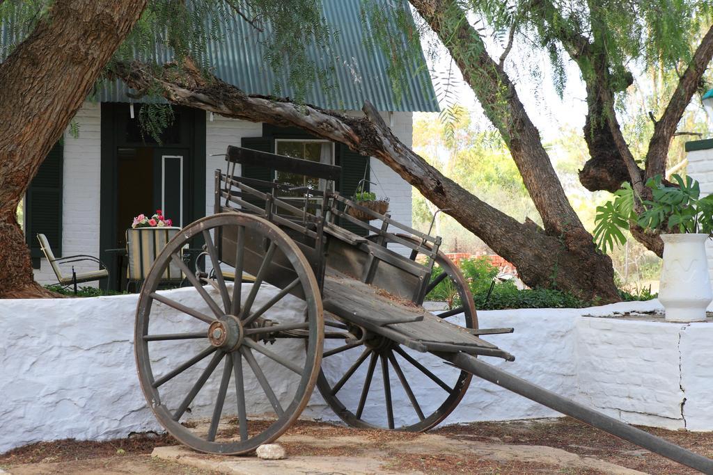 The Willow Historical Guest House Willowmore Exterior foto